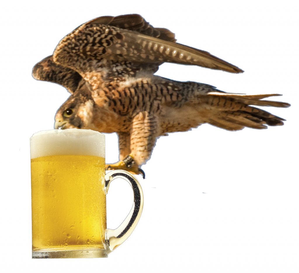 Birds & Beer San Fernando Valley Audubon Society