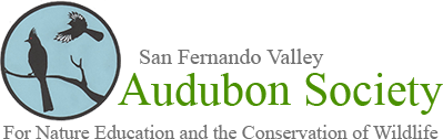 San Fernando Valley Audubon Society – For Nature Education and Conservation of Wildlife